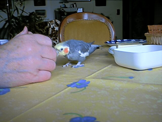 das schmeckt !!!