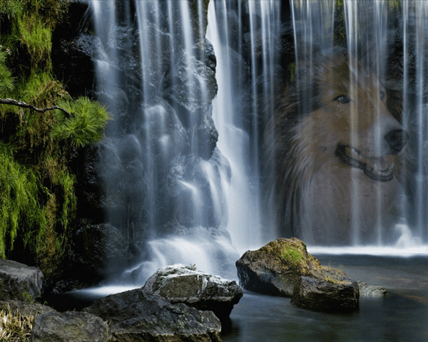 lassiewasserfall.gif