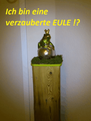 verzauberte_eule